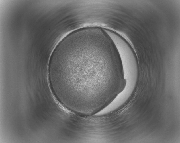 X0000067530895200604150222