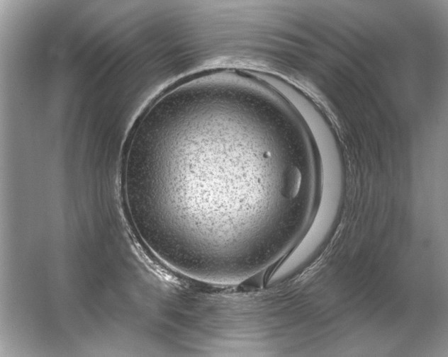 X0000067530896200604150222