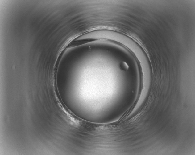 X0000067530898200604150222