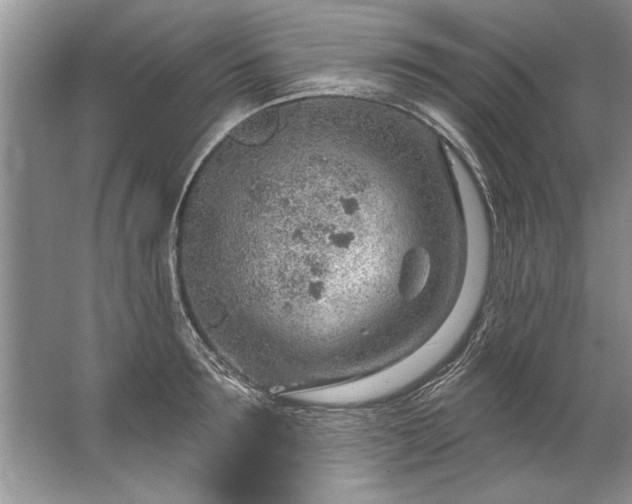 X0000067530899200604150222