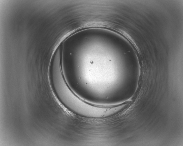 X0000067530901200604150222