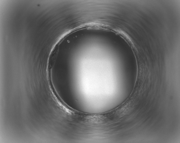 X0000067530902200604150222