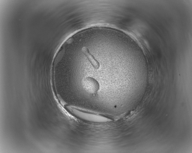 X0000067530903200604150222