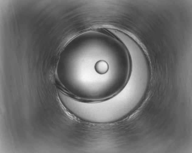 X0000067530905200604150222