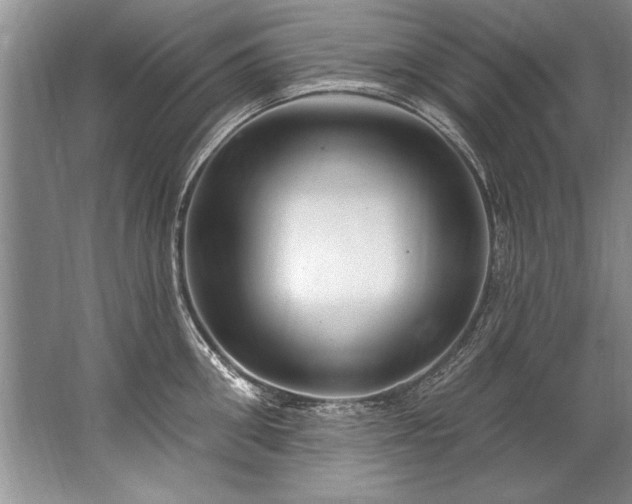 X0000067530906200604150222