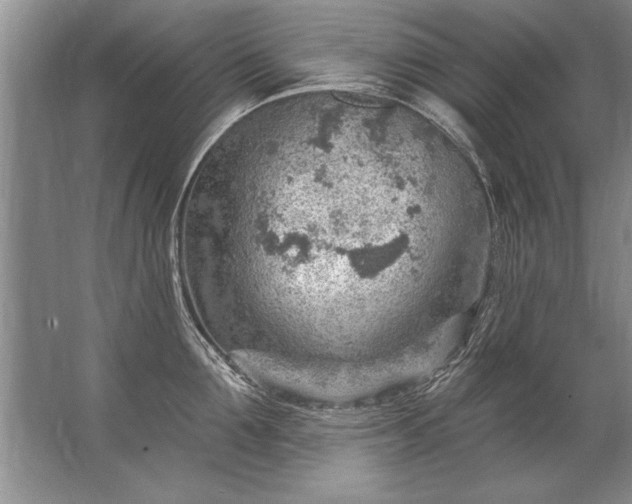 X0000067530907200604150222