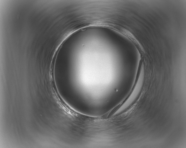 X0000067530908200604150222