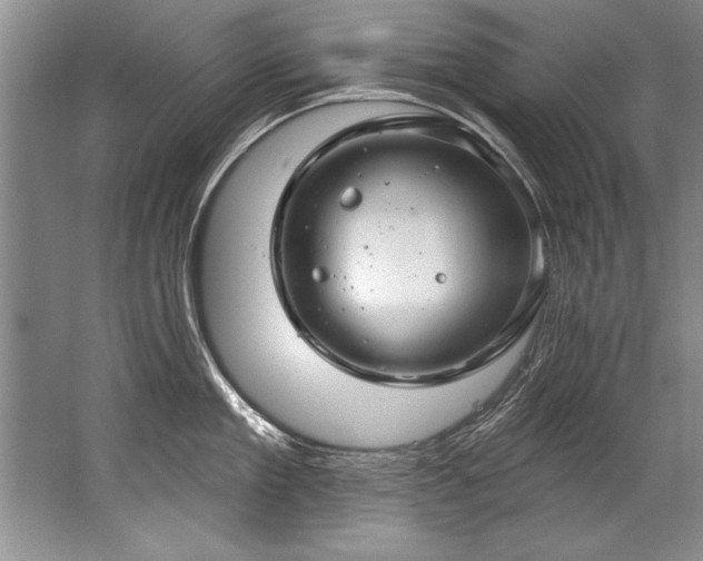 X0000067530909200604150222