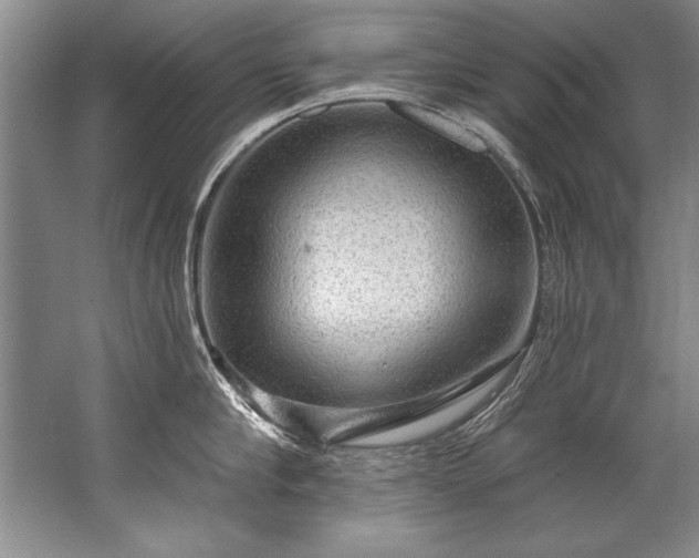 X0000067530910200604150222