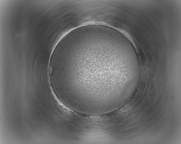 X0000067530911200604150222