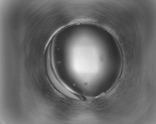 X0000067530912200604150222