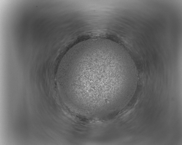 X0000067530913200604150221