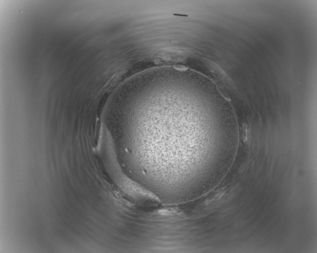 X0000067530915200604150221