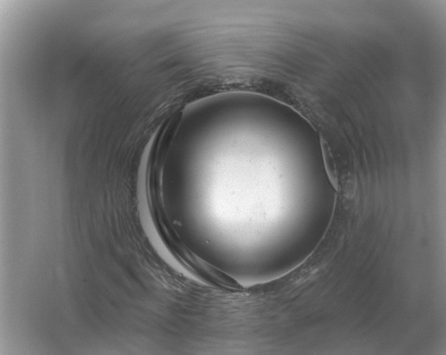 X0000067530916200604150221