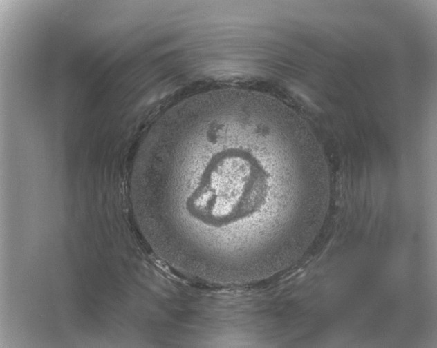 X0000067530917200604150221