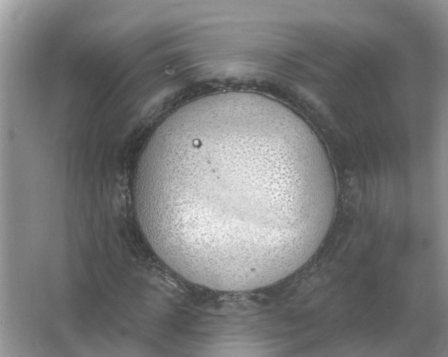 X0000067530918200604150221