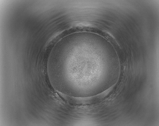 X0000067530919200604150221