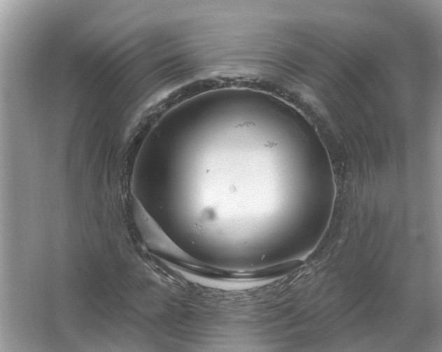 X0000067530920200604150221