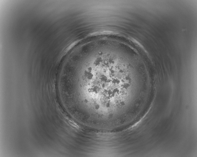 X0000067530921200604150221