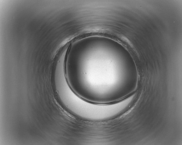 X0000067530922200604150221