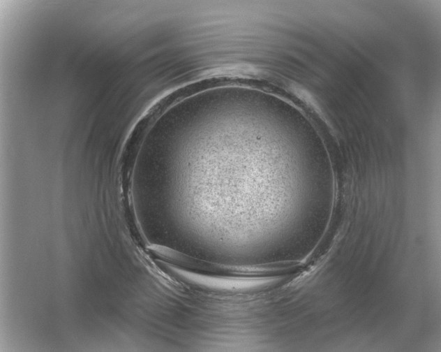 X0000067530923200604150221