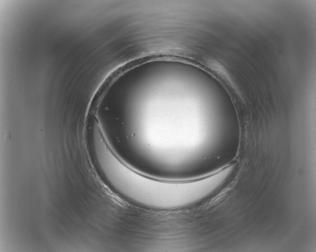 X0000067530924200604150222