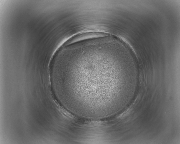 X0000067530925200604150222