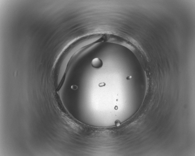 X0000067530926200604150222