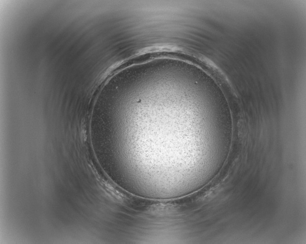 X0000067530929200604150222