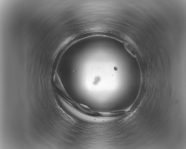 X0000067530930200604150222