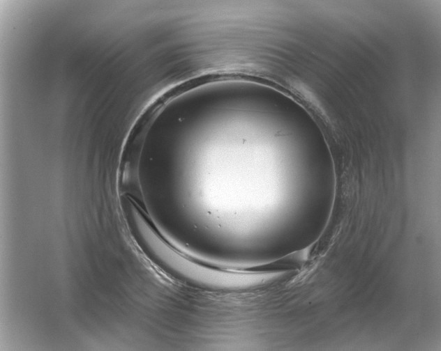 X0000067530932200604150222