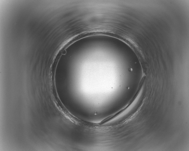 X0000067530933200604150222