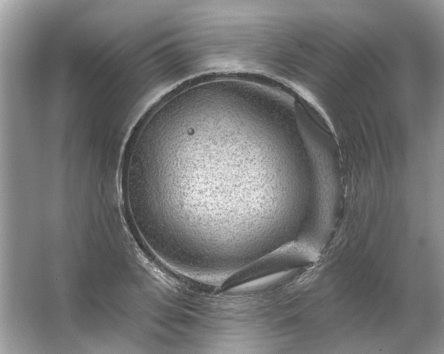 X0000067530935200604150222