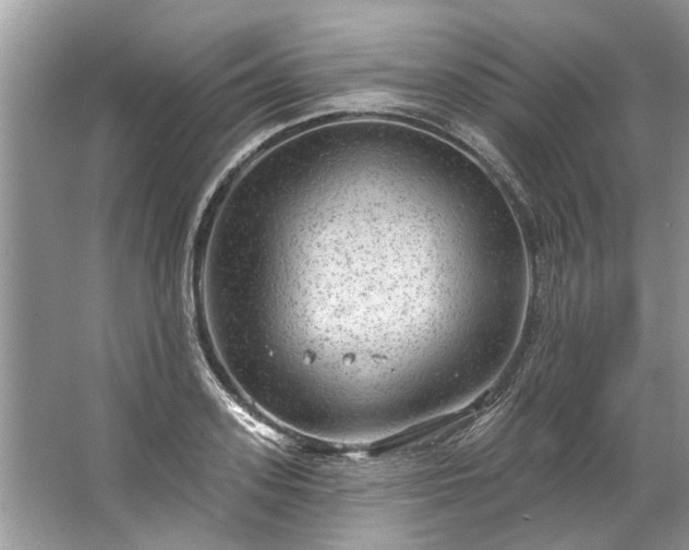 X0000067530939200604150222