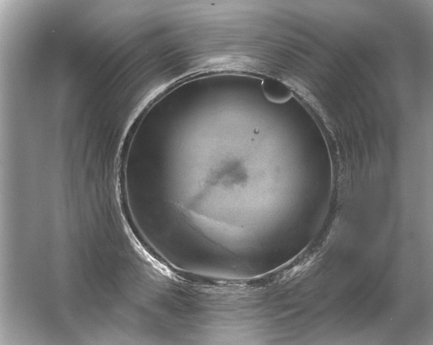 X0000067530941200604150222