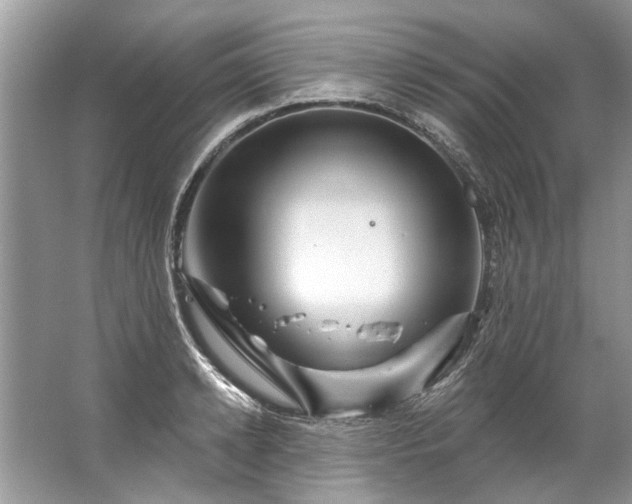 X0000067530942200604150222