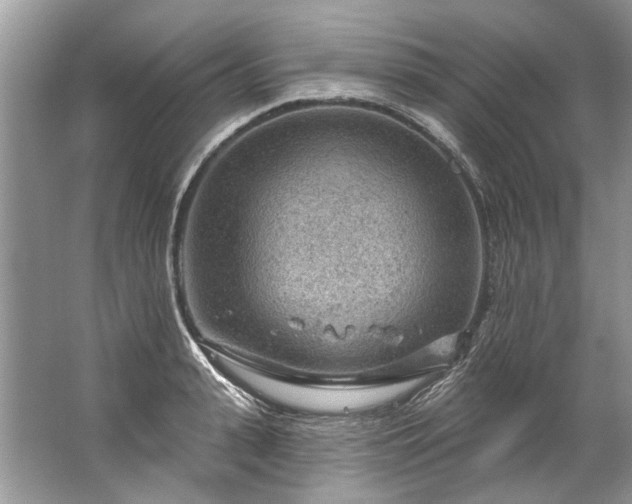 X0000067530943200604150222