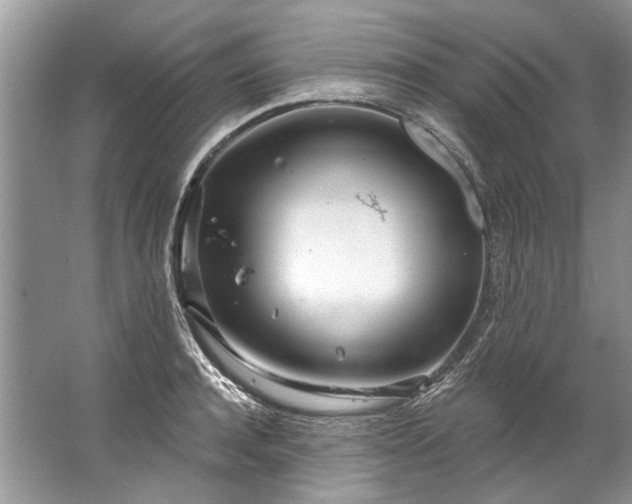 X0000067530944200604150222