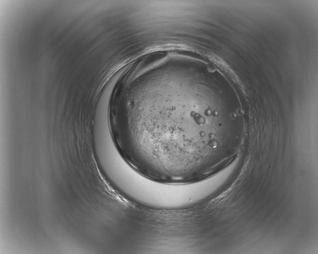 X0000067530945200604150222