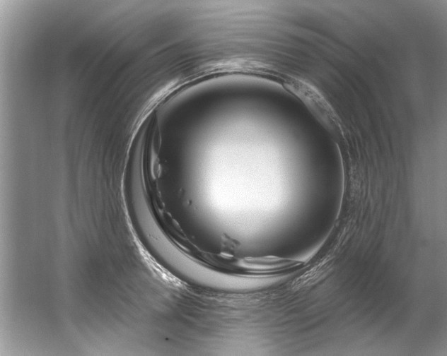 X0000067530946200604150222