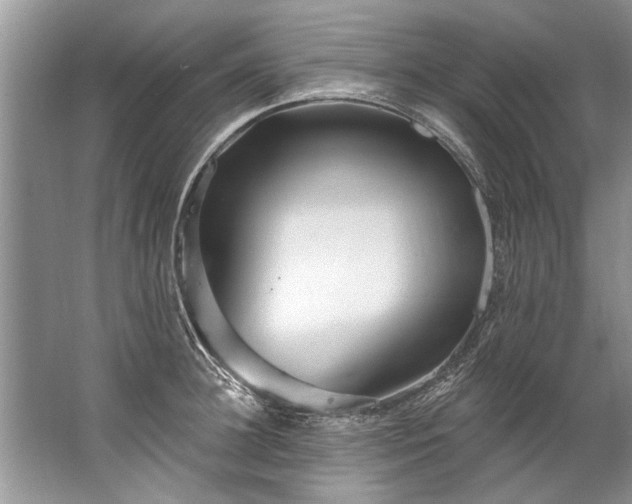 X0000067530948200604150222