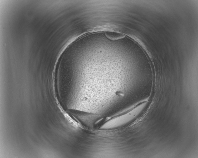 X0000067530949200604150222