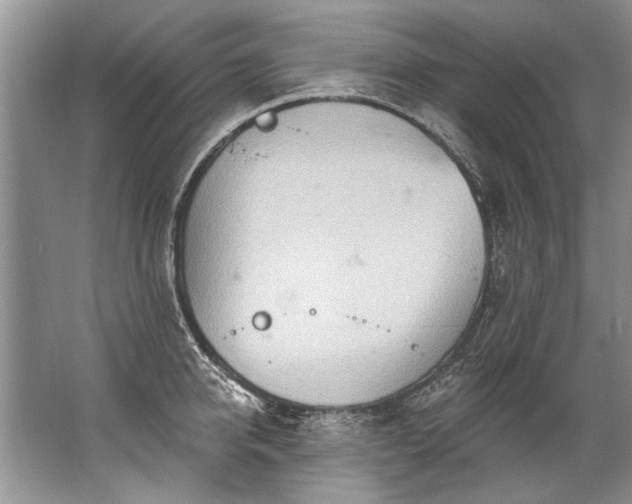 X0000067530950200604150222