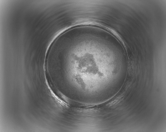 X0000067530951200604150222