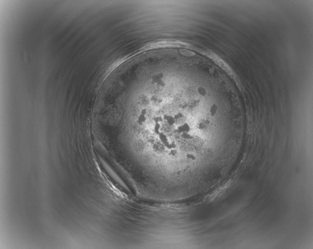 X0000067530953200604150222