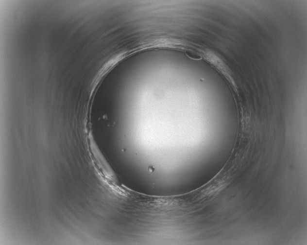 X0000067530954200604150222