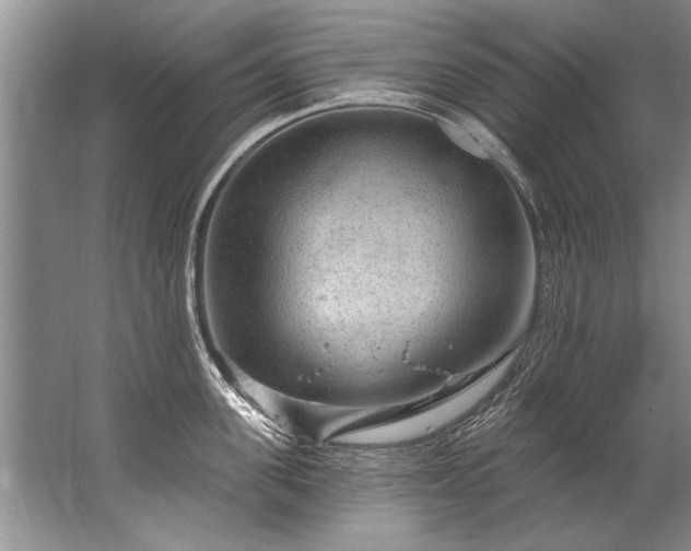 X0000067530955200604150222