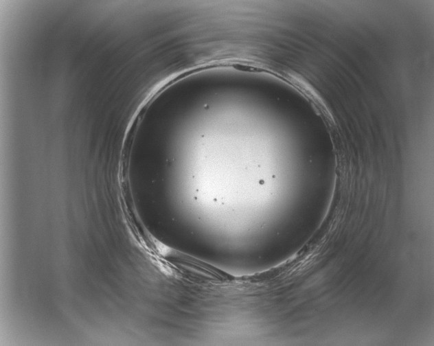 X0000067530956200604150222