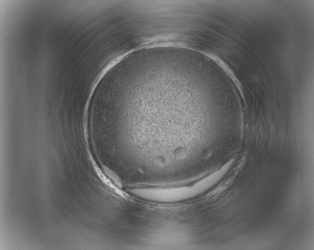 X0000067530957200604150222