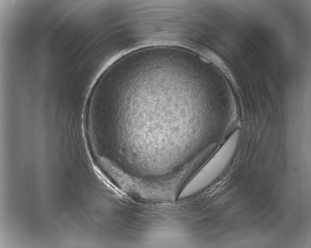 X0000067530958200604150222